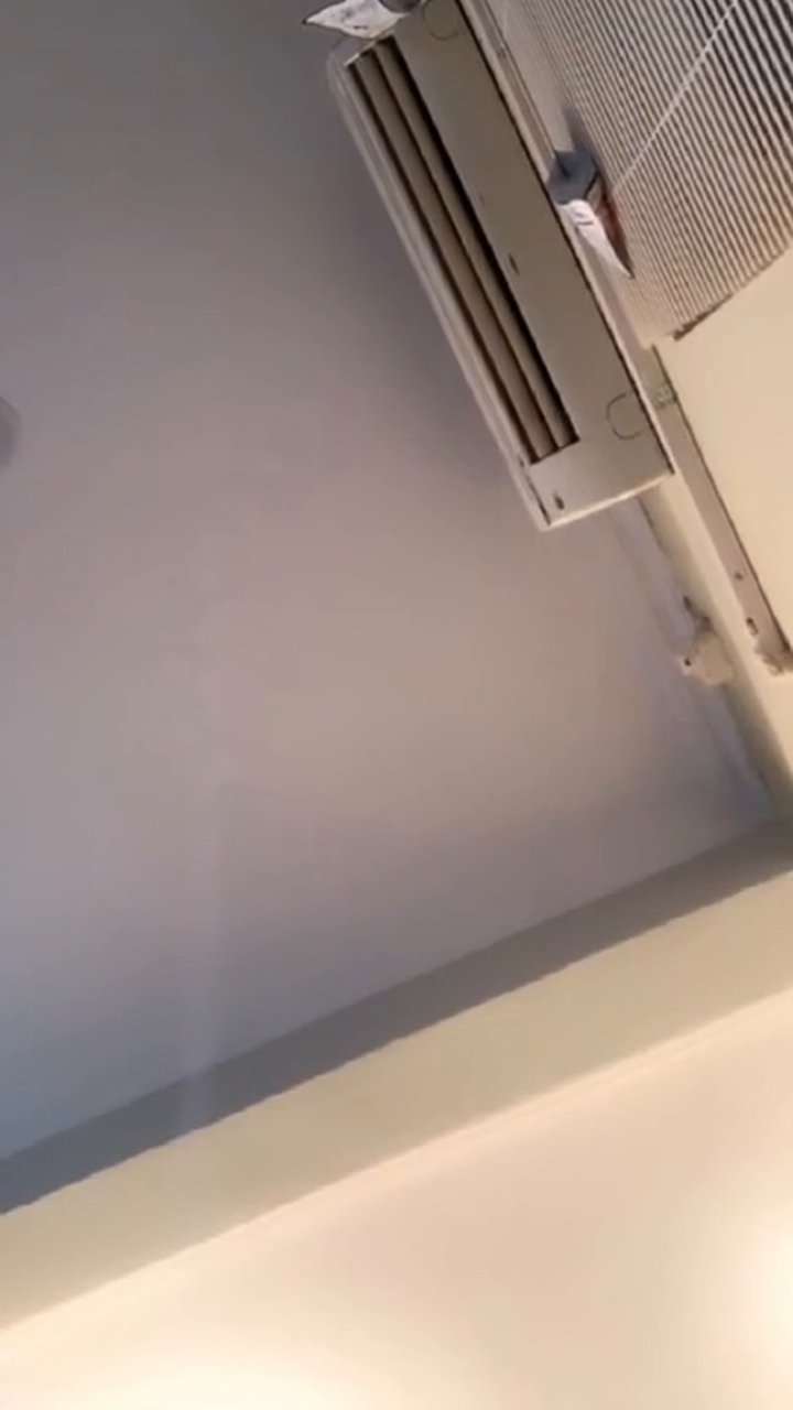 Zara Pamer.mp4