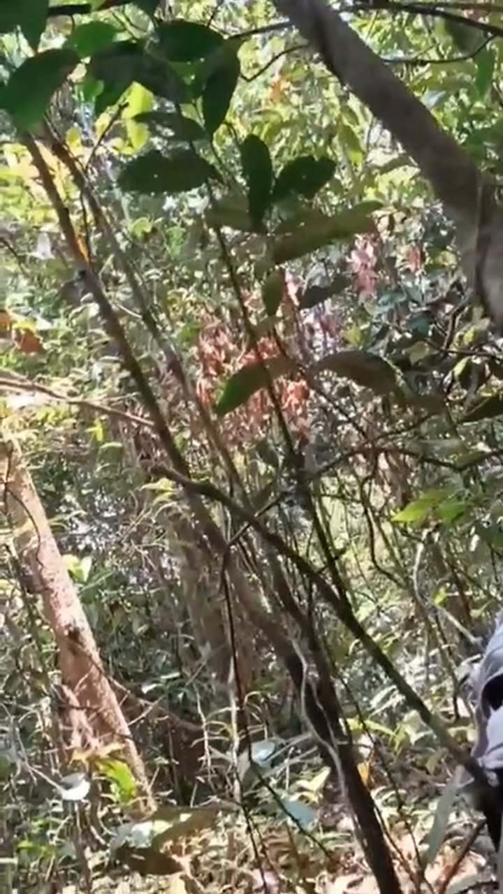 javtube.cfd%20Sejoli%20ABG%20Asyik%20Ngentot%20di%20Kebun.mp4