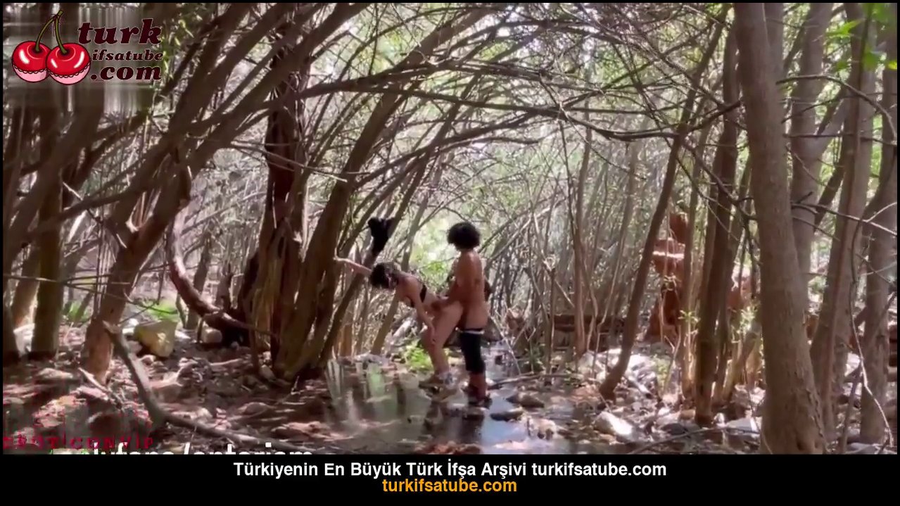 Antarism porno video ormanda harabede - Video İzle