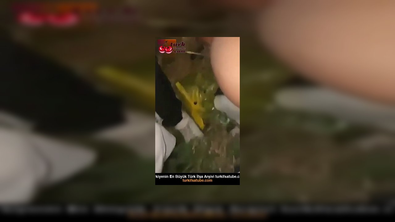 Konserde sarhoş olan kızı ormanda sikiyorlar