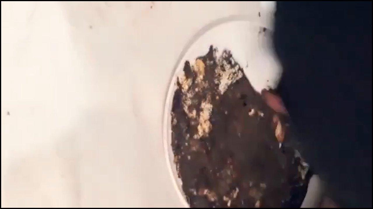 Bir de bu açıdan izleyin ayaklarımdan yenen pastayı