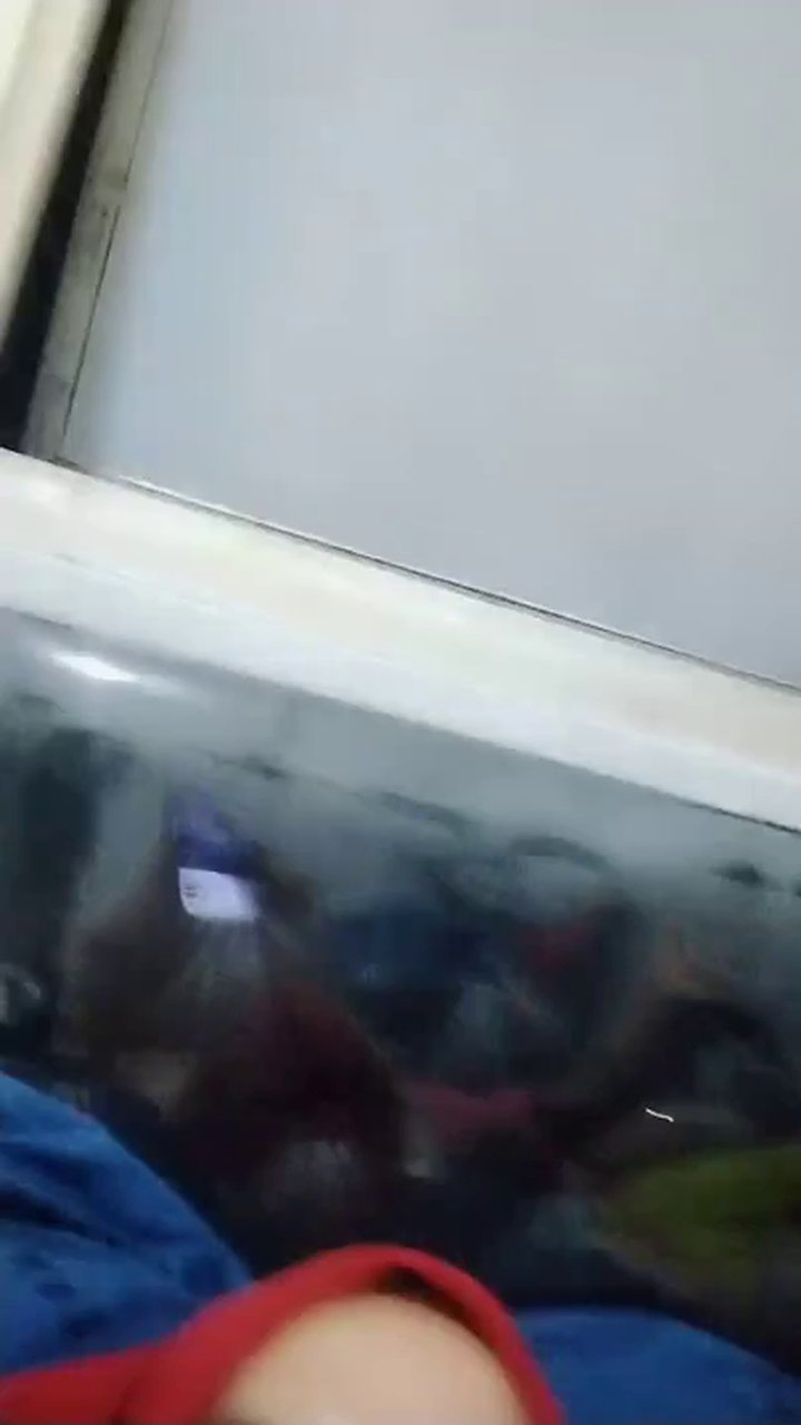 AmorraZorraJilbab.mp4
