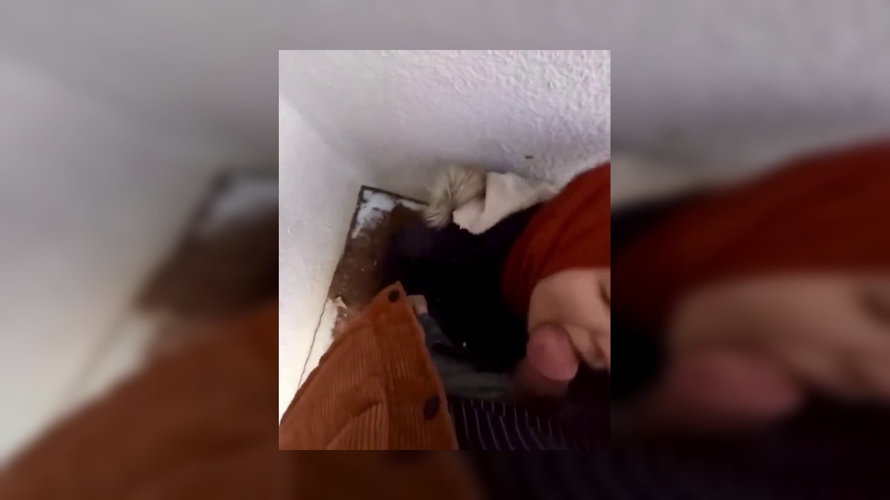 Türbanlı amatör ifşa videoları part 21 - Video İzle