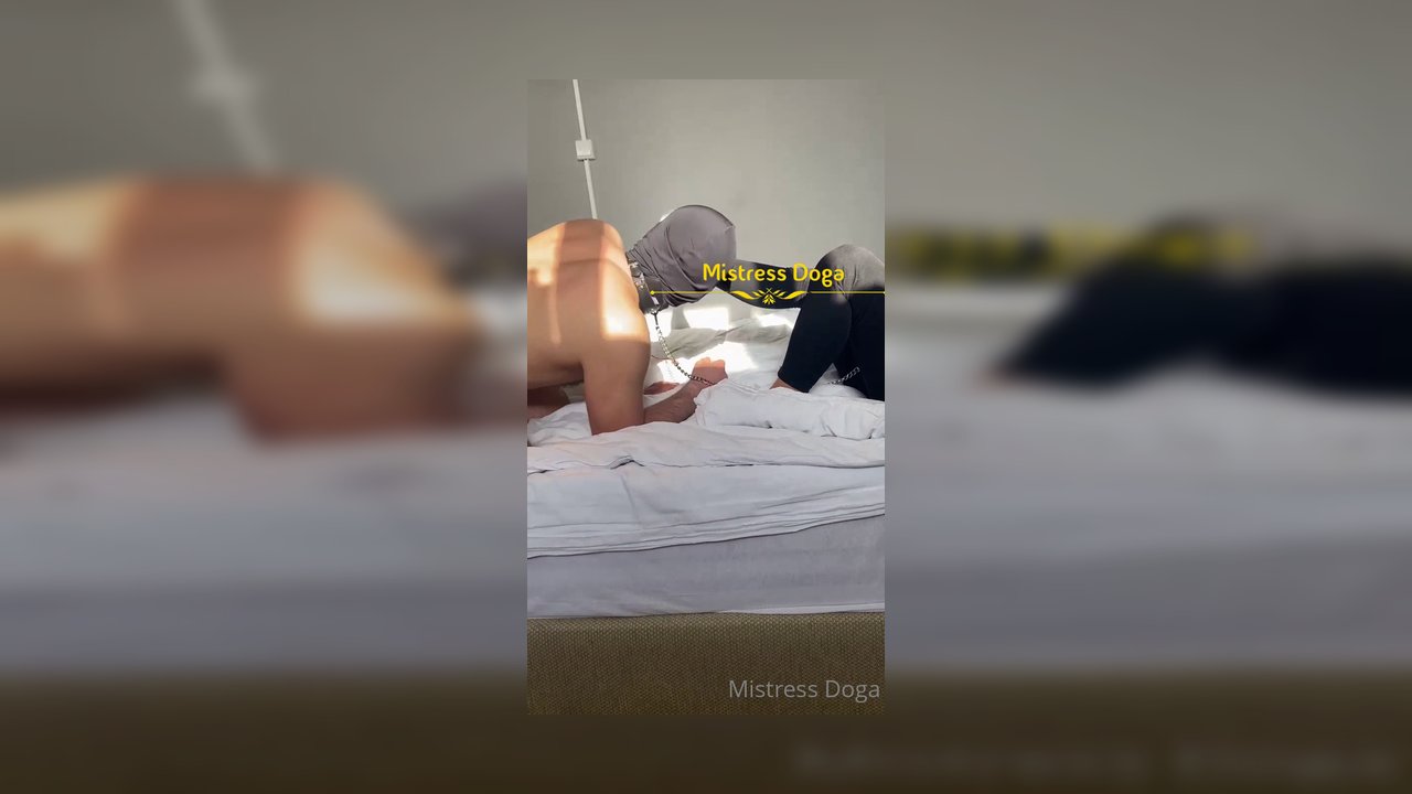 Her hareketiniz köpek gibi olana kadar tepenizde olacağım! - Video İzle