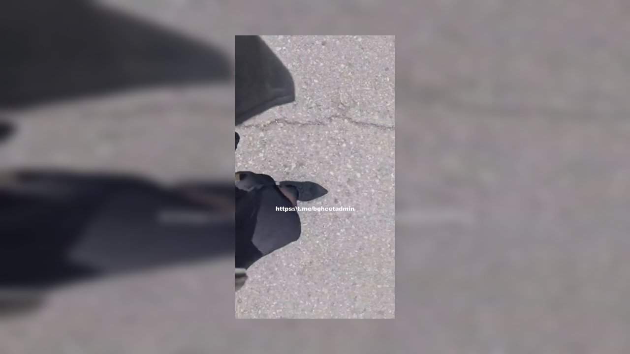 Emine Çoşkun Patreon ifşa videoları 12.08.2025 Part 2 - Video İzle.mp4