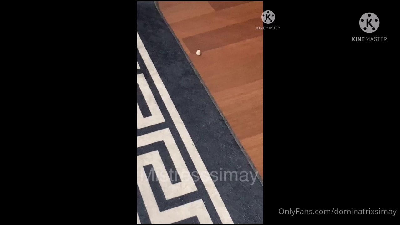 Sünepe - Video İzle.mp4