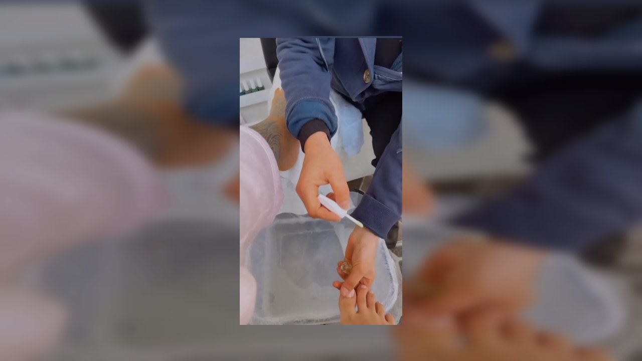Hilal Çiçek instagram abonelik içerikleri part 6 - Video İzle