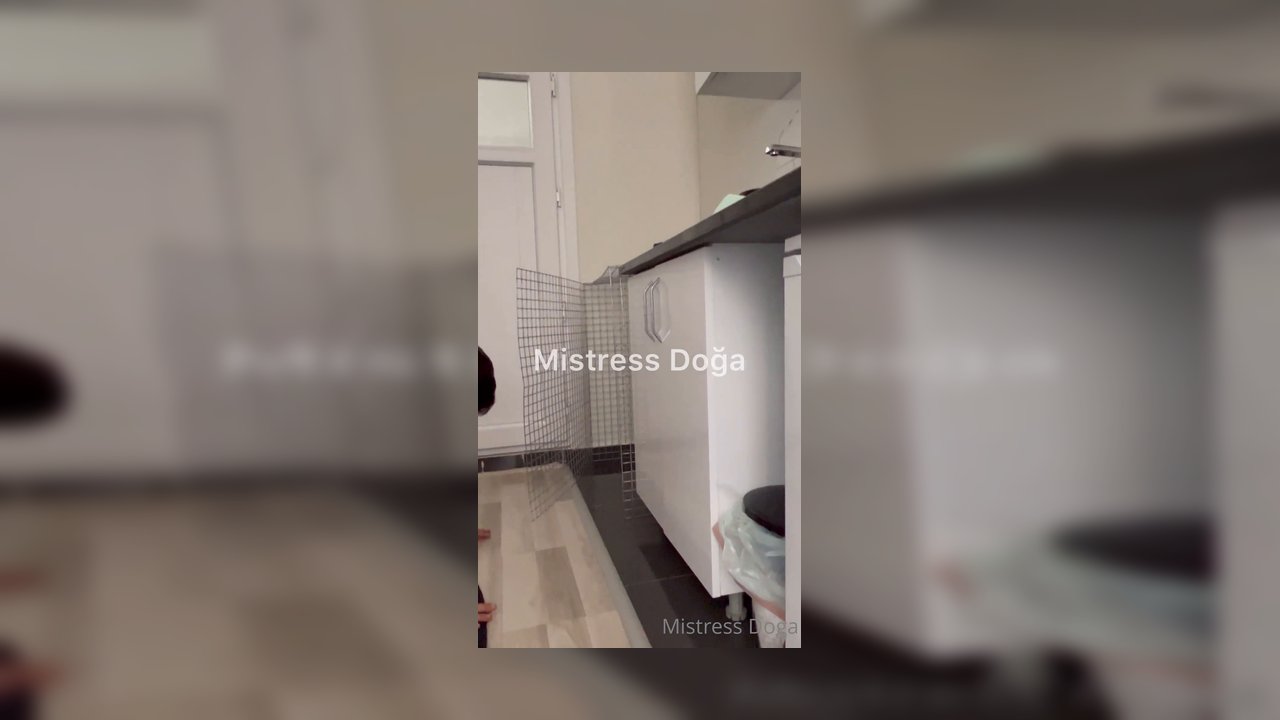 Köpeğimi önce ayaklarımın arasına mahkum ettim sonra kafese - Video İzle