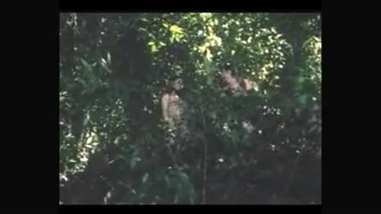 240p.h264.mp4