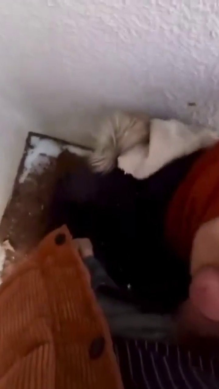 Türbanlı amatör ifşa videoları part 21 - Video İzle