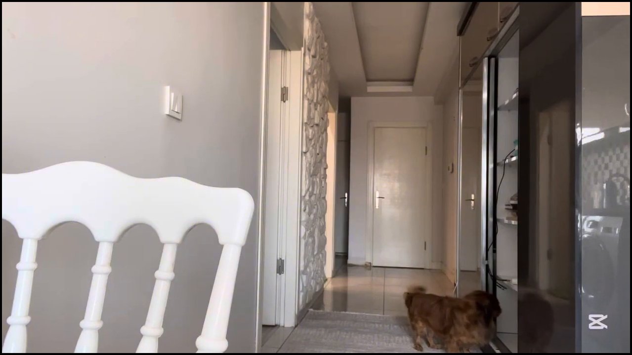 Buse is Life ifşa Youtube Katıl - 17.09.2025 - Video İzle.mp4