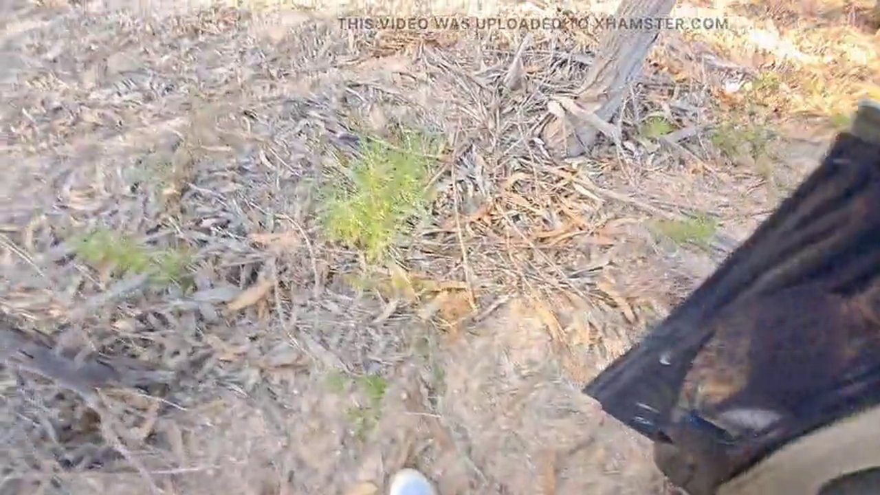 480p.h264.mp4