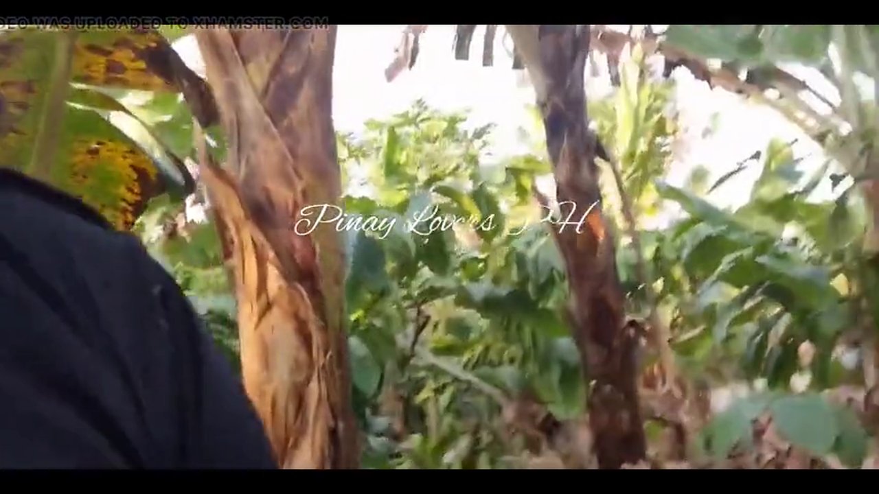 480p.h264.mp4