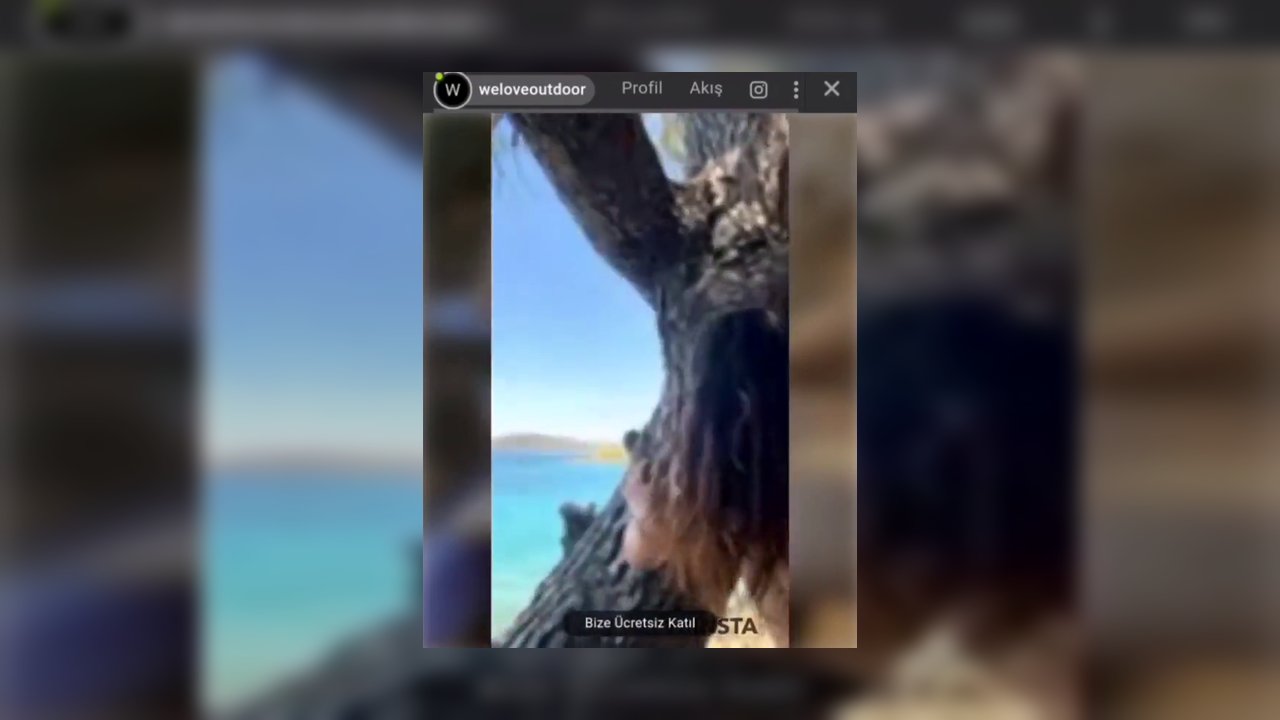 Ayşen Çeliğ'in xhamster,onlyfans,fansly Tüm platformlardaki videoları part 90 - Video İzle